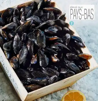 Cora x Carrefour Moules cora offre