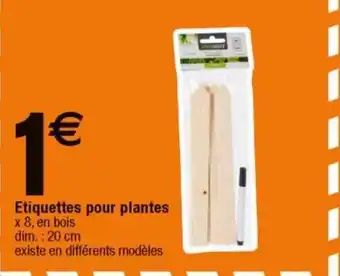 Cora x Carrefour Etiquettes Pour Plantes offre