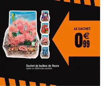 Cora x Carrefour Sachet de bulbes de Fleurs offre