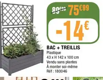 Bac + Treillis