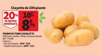 Auchan Pomme de terre charlotte offre