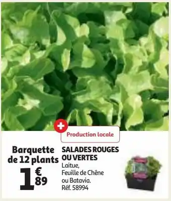 Auchan Salades rouges ou vertes offre