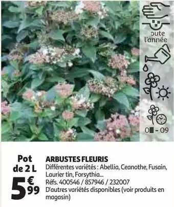 Auchan Arbustes fleuris offre