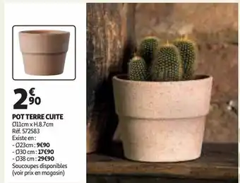 Auchan Pot terre cuite offre