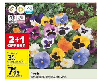 Carrefour Pensée offre