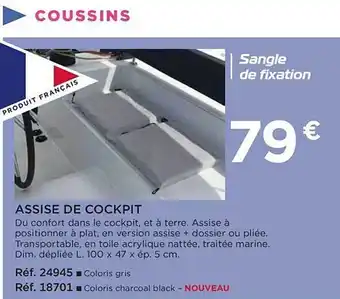 Assise de cockpit