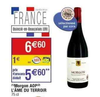 Cora x Carrefour Morgon aop l'âme du terroir offre