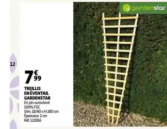 Auchan Treillis en éventail gardenstar offre