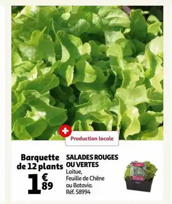 Auchan Salades rouges ou vertes offre