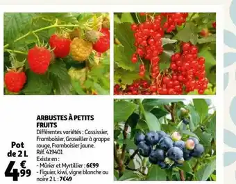 Auchan Arbustes à petits fruits offre