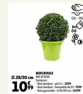 Auchan Buis boule offre