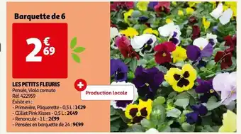 Auchan Les petits fleuris offre