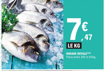 E.Leclerc Dorade Royale offre