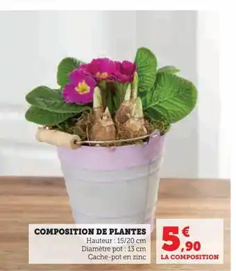 Super U Composition de plantes offre