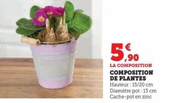 Hyper U Composition de plantes offre
