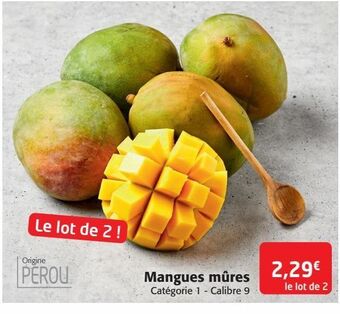 Mangues mures