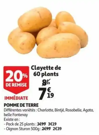 Auchan Pomme de terre offre