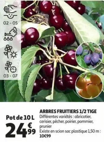 Auchan Arbres fruitiers 1/2 tige offre