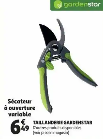 Auchan Taillanderie gardenstar offre
