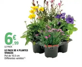 E.Leclerc Le Pack 4 Plantes Vivaces offre