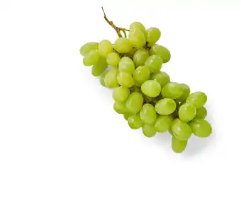 Match Raisin Blanc Victoria offre