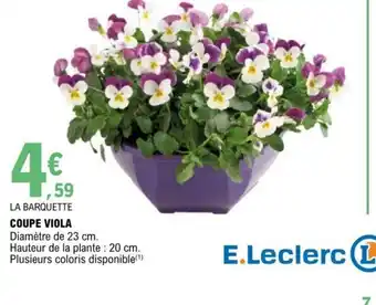 E.Leclerc Coupe Viola offre