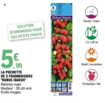E.Leclerc La Pochette de 5 Framboisiers Rubus Idaeus offre