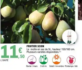 E.Leclerc Fruitier Scion offre