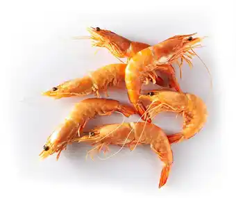 Match Crevettes roses cuites offre
