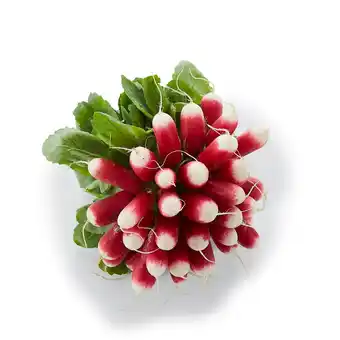 Match Radis rose offre