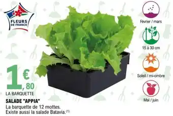 E.Leclerc Salade Appia offre