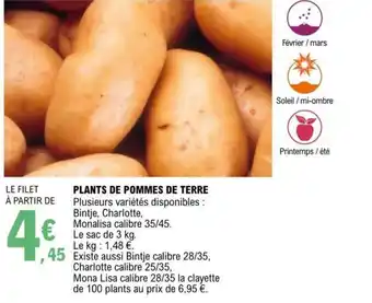 E.Leclerc Plants De Pommes De Terre offre