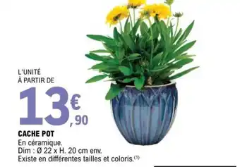 Cache Pot