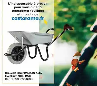 Castorama Brouette haemmerlin aktiv excellium 100 l offre
