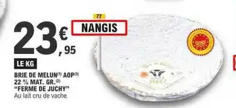 E.Leclerc Brie de melun aop 22% mat. gr. offre