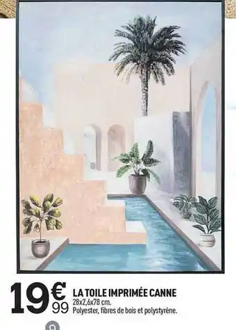 La toile imprimée canne