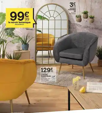 Centrakor Le miroir botanique le fauteuil velours solard la plante à suspendre zoé offre