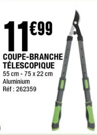 La Foir'Fouille Coupe-branche télescopique offre