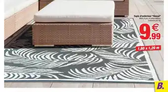 Bazarland Tapis d'extérieur offre