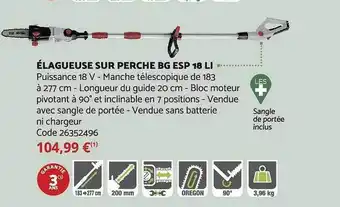 Bricomarché Élagueuse sur perche bg esp 18 li offre