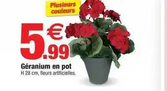 Géranium en pot