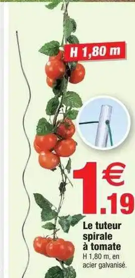 Bazarland Le tuteur spirale à tomate offre