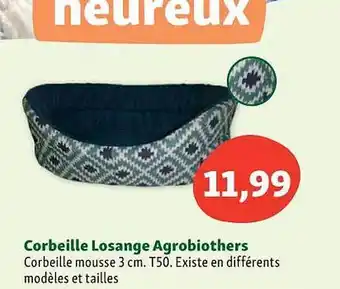 Corbeille losange agrobiothers