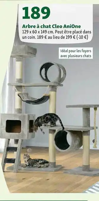 Maxi Zoo Arbre à chat cleo anione offre