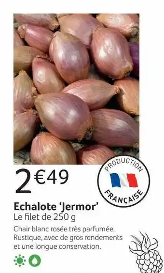 VillaVerde Echalote 'jermor' offre