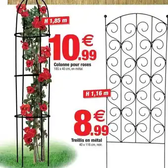 Bazarland Colonner pour roses treillis en métal offre