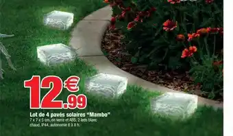 Lot de 4 pavés solaires