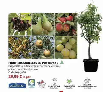 Fruitiers gobelets en pot de 7,5 l jardibest