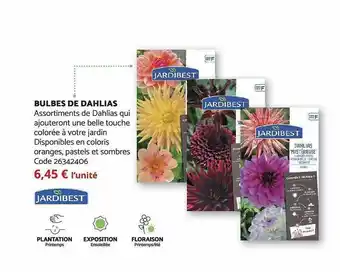 Bricomarché Bulbes de dahlias jardibest offre