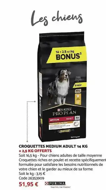 Croquettes medium adult 14 kg